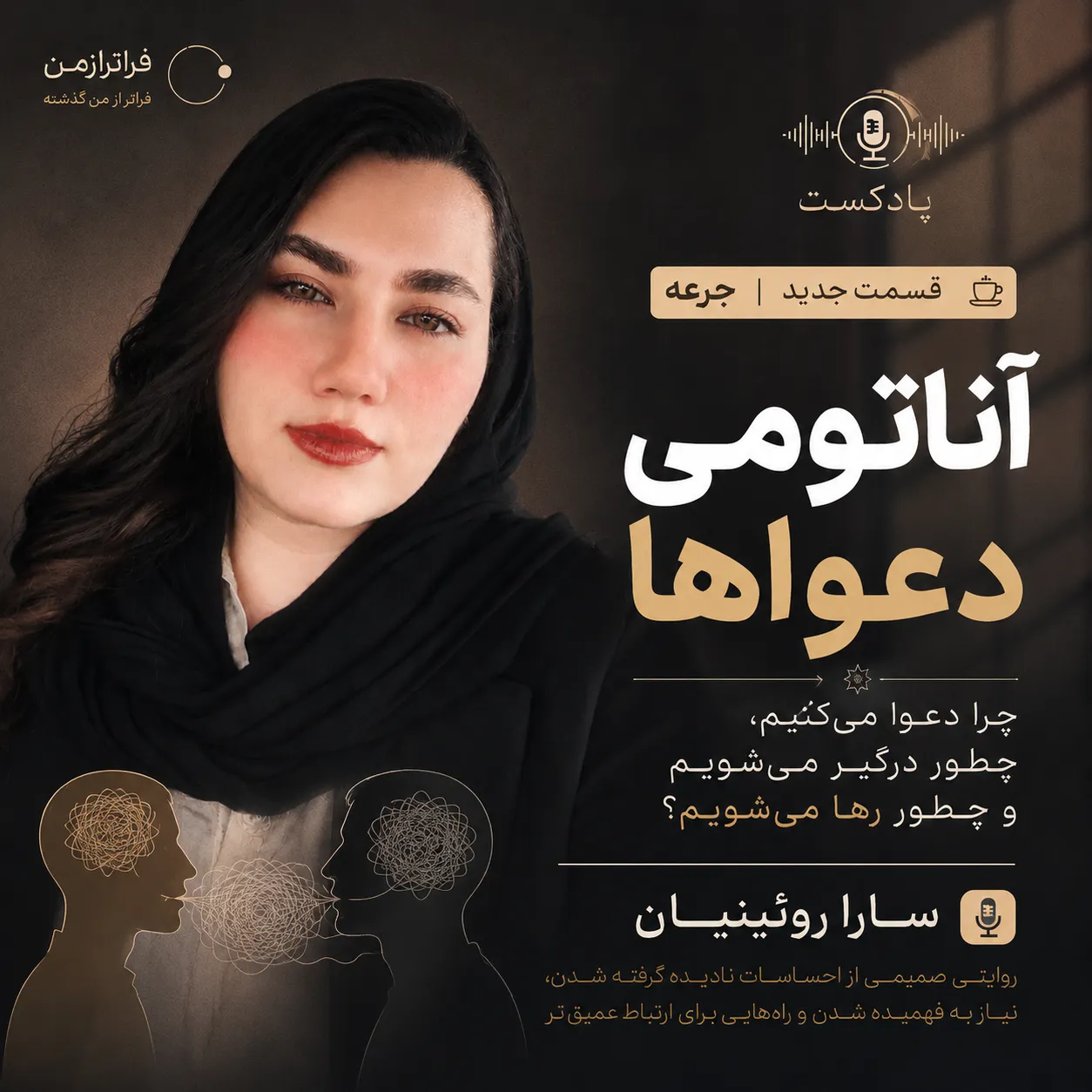 آناتومی دعوا ها